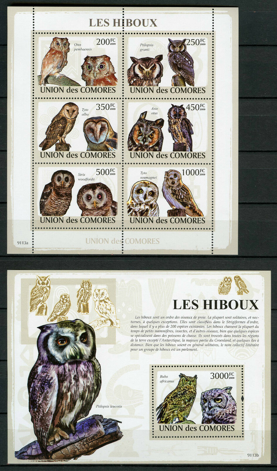 Comoros Comores 2009 MNH Owls 6v M/S 1v S/S Hiboux Owl Birds Stamps