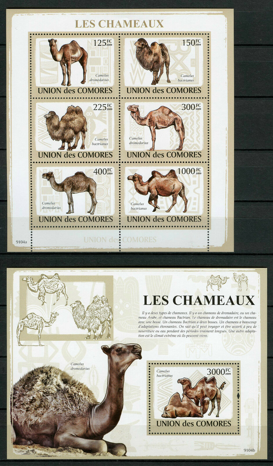 Comoros Comores 2009 MNH Camels 6v M/S 1v S/S Chameux Dromedary Camel Stamps