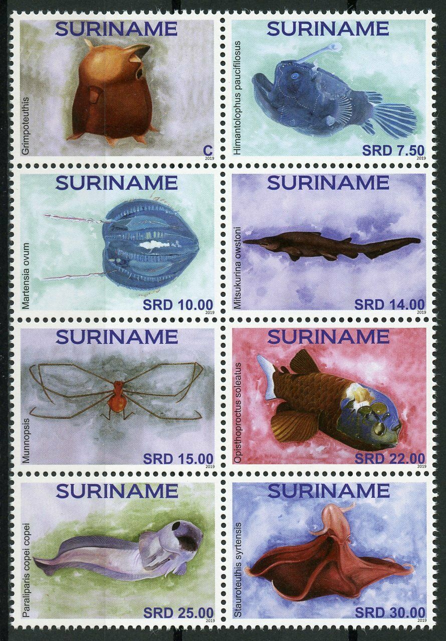 Suriname 2019 MNH Sea Life Mariana Trench 8v Block Fish Fishes Marine Stamps