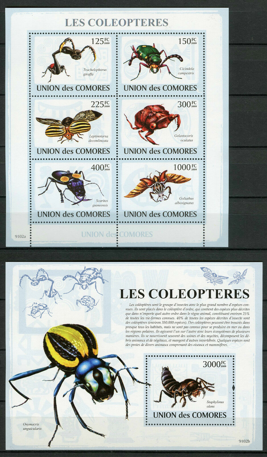 Comoros Comores 2009 MNH Beetles 6v M/S 1v S/S Coleopteres Insects Stamps