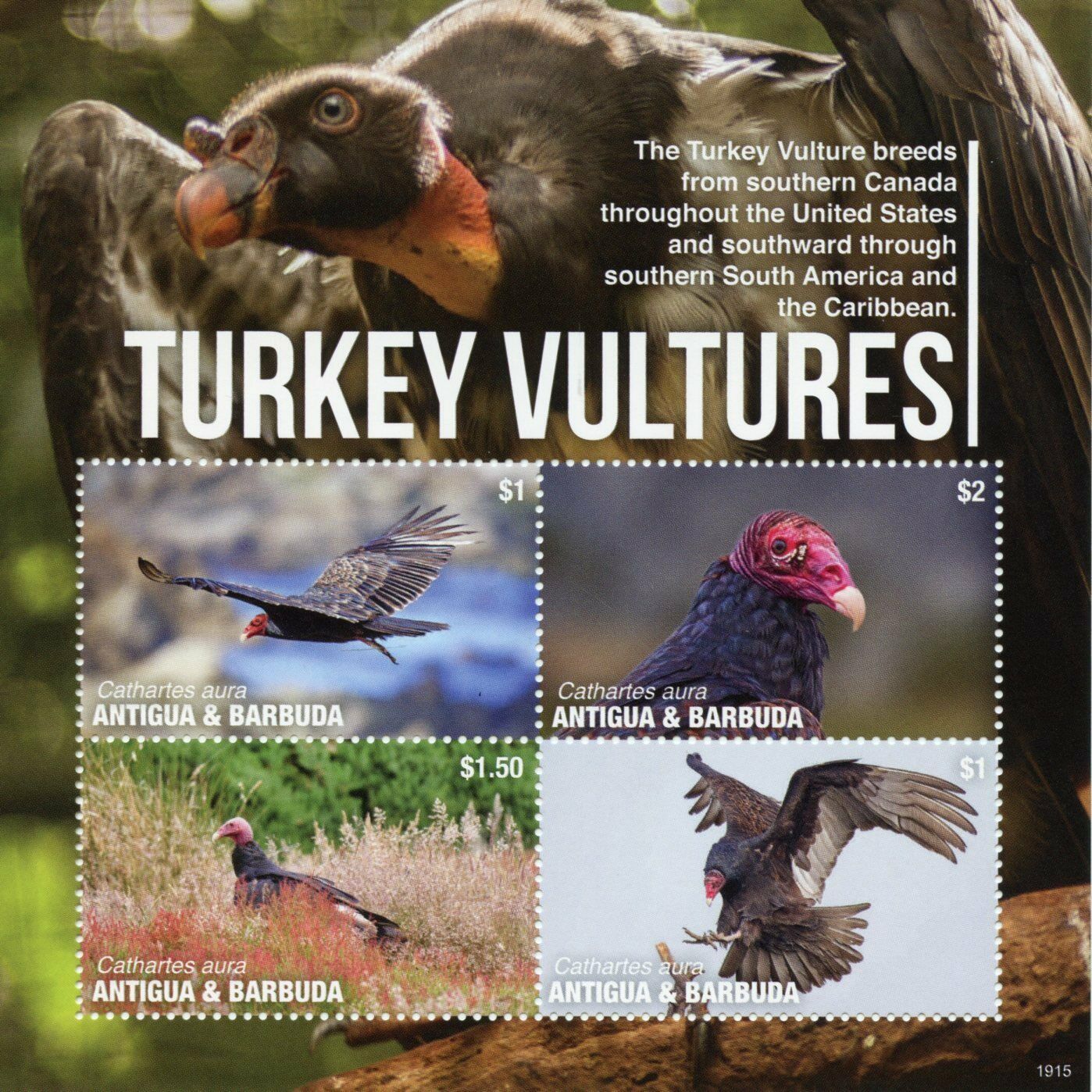 Antigua & Barbuda 2019 MNH Birds of Prey on Stamps Turkey Vultures 4v M/S
