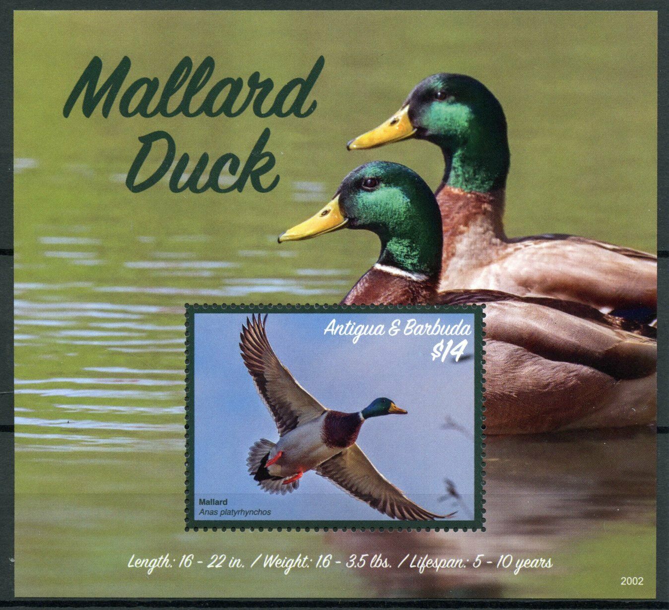 Antigua & Barbuda 2020 MNH Birds on Stamps Mallards Mallard Ducks 1v S/S