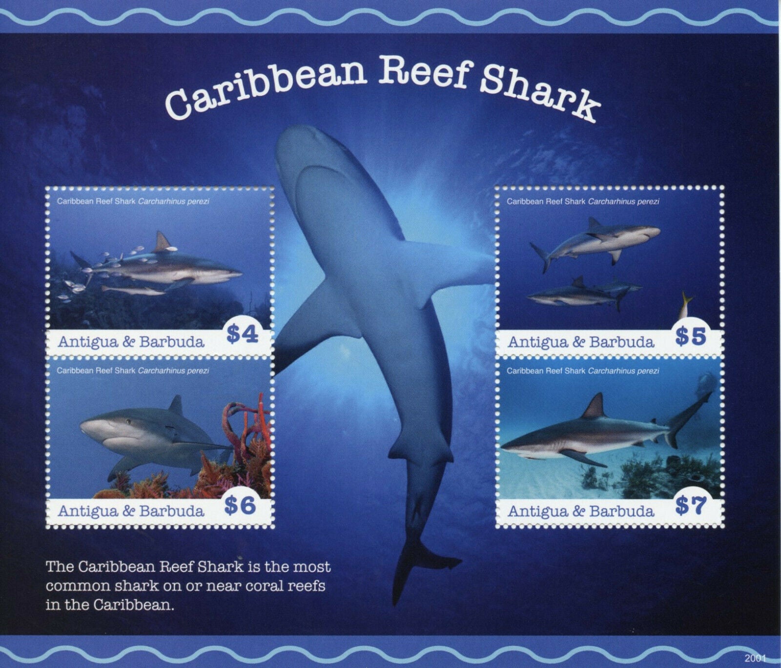 Antigua & Barbuda 2020 MNH Sharks Stamps Caribbean Reef Shark Marine Fauna 4v M/S