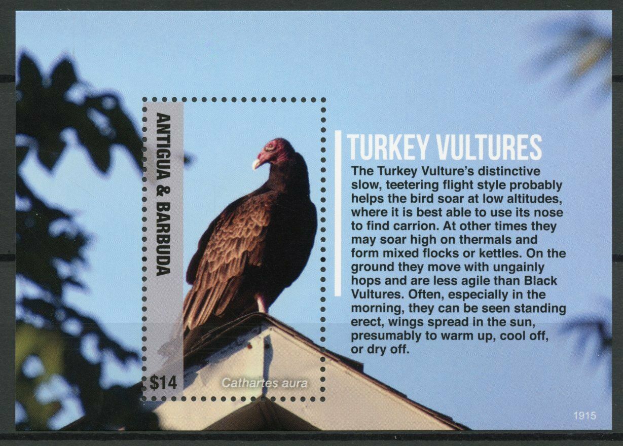 Antigua & Barbuda 2019 MNH Birds of Prey on Stamps Turkey Vultures 1v S/S