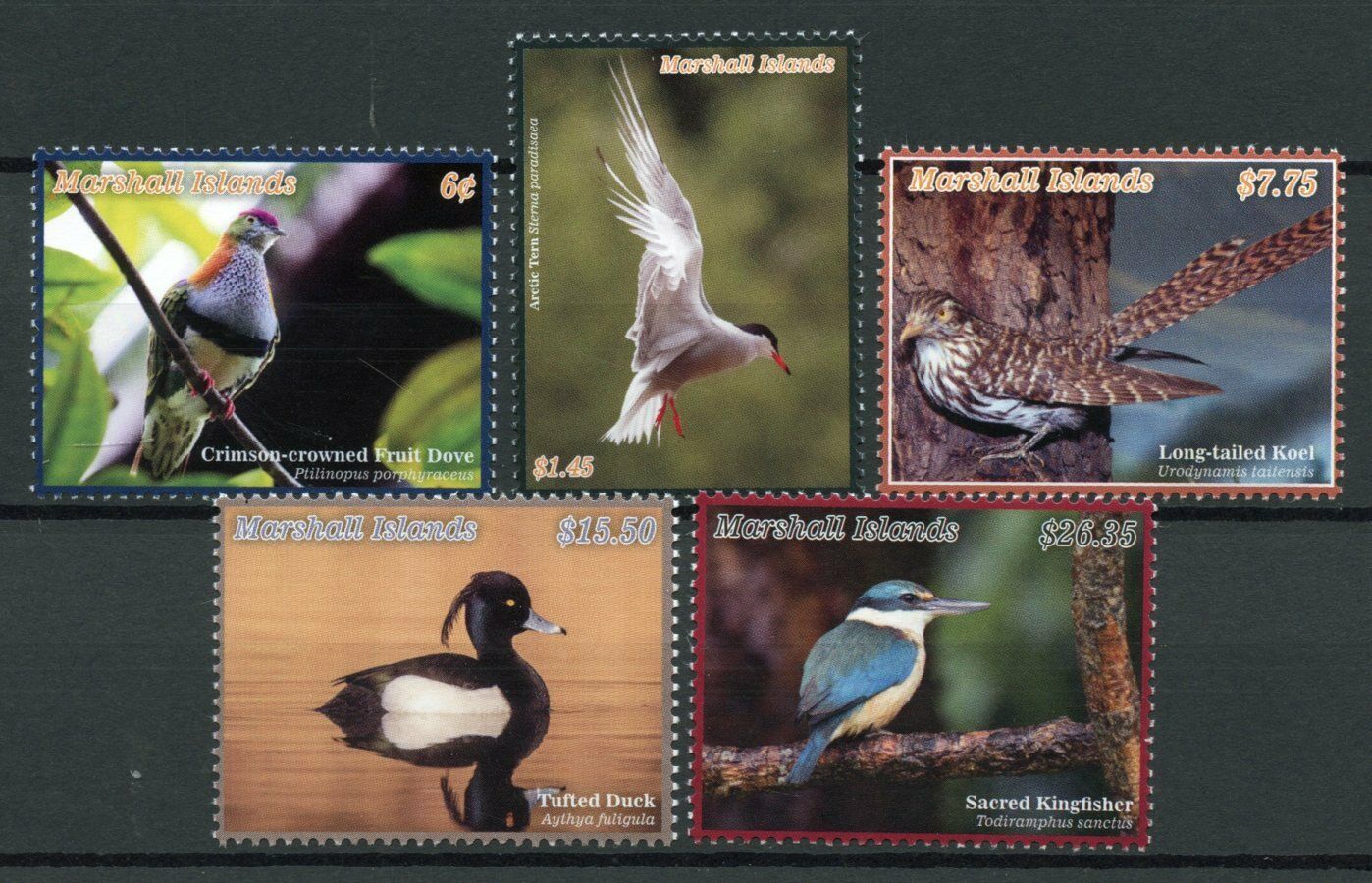 Marshall Islands 2020 MNH Birds on Stamps Definitives Kingfishers Ducks Doves Terns 5v Set
