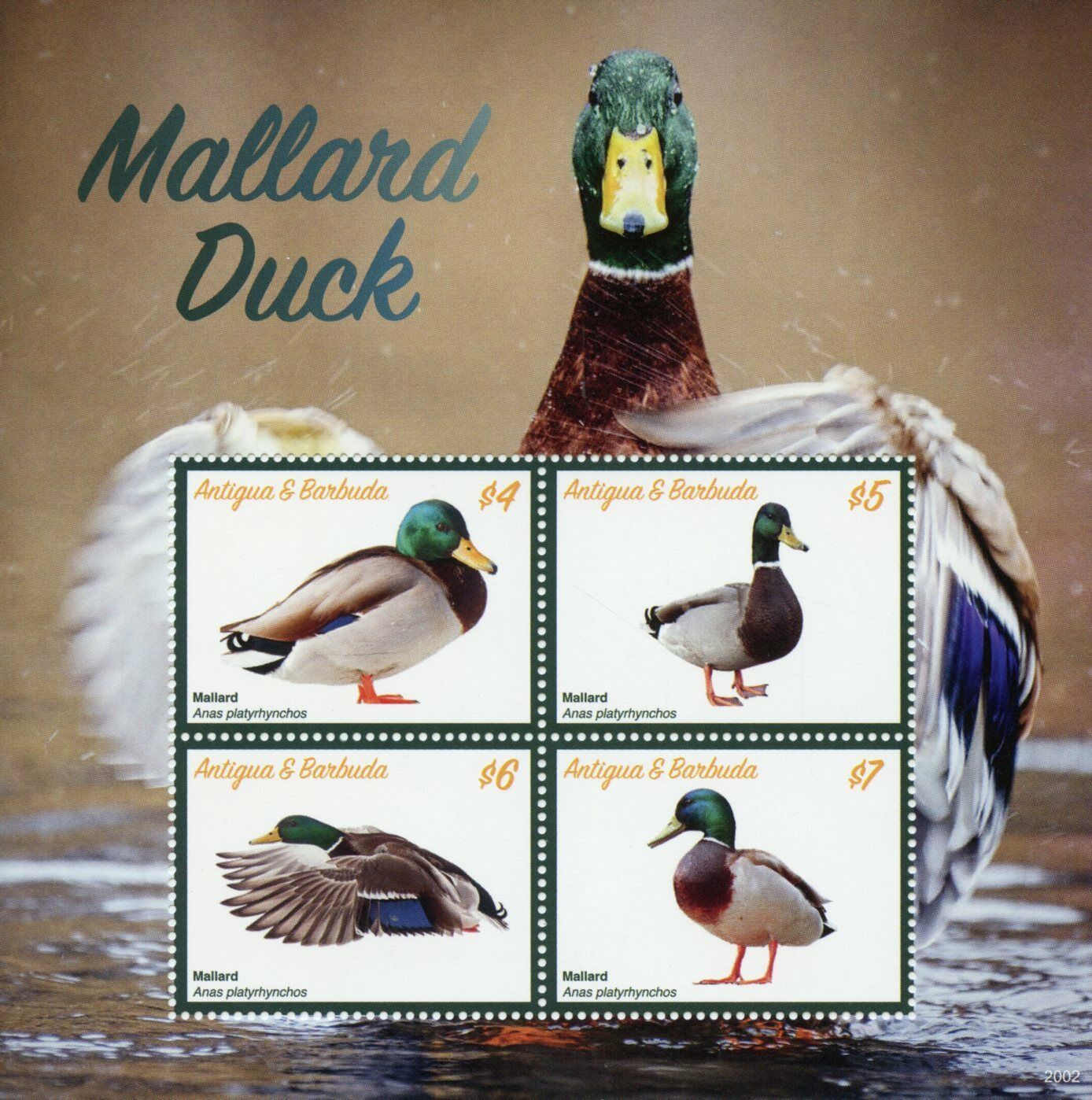 Antigua & Barbuda 2020 MNH Birds on Stamps Mallards Mallard Ducks 4v M/S