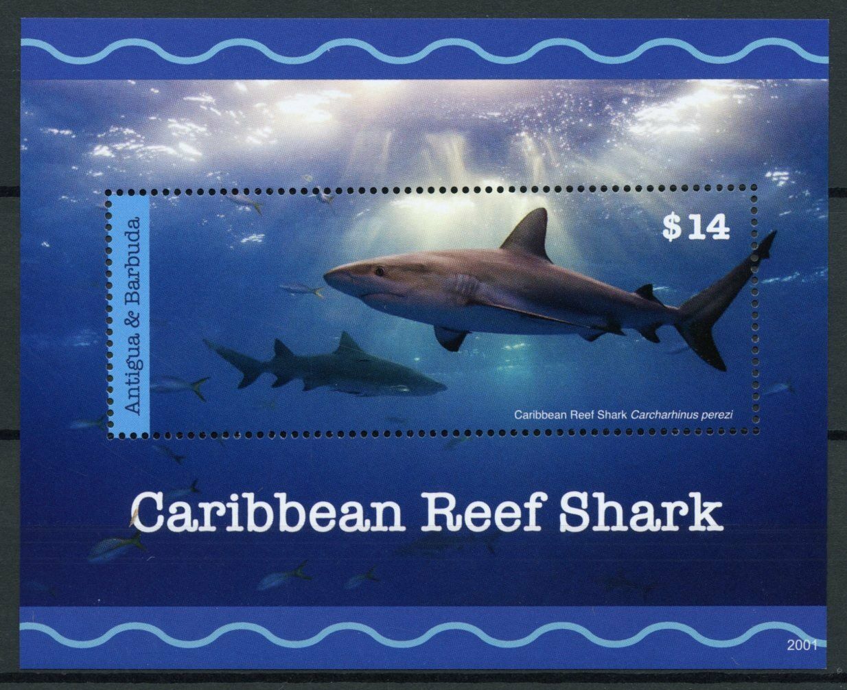 Antigua & Barbuda Sharks Stamps 2020 MNH Caribbean Reef Shark Marine Fauna 1v SS