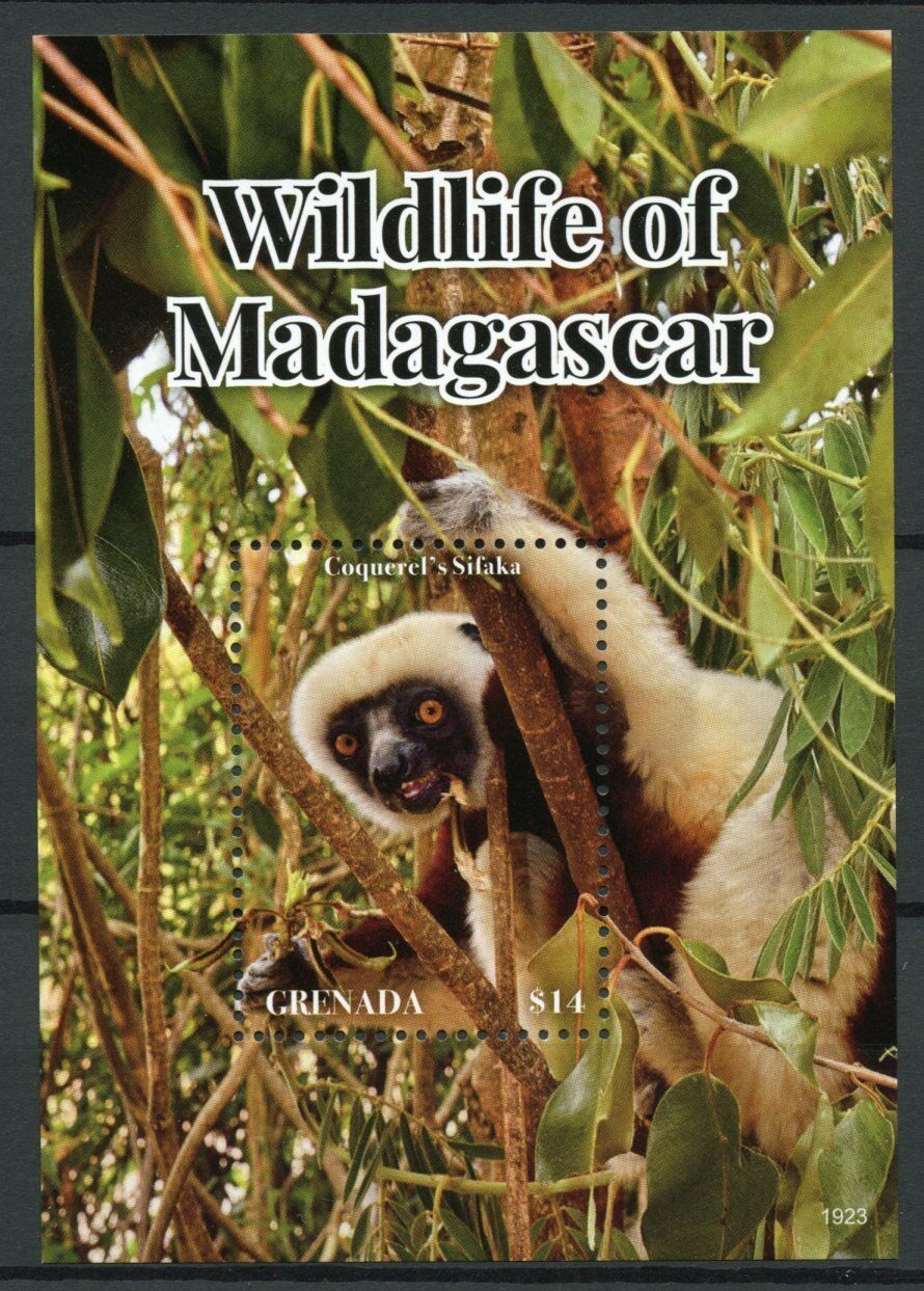 Grenada 2019 MNH Wild Animals Stamps Wildlife of Madagascar Lemurs Sifakas 1v SS
