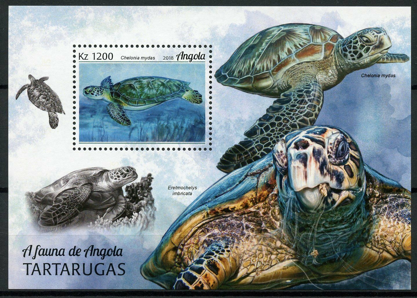 Angola Turtles Stamps 2018 MNH Loggerhead Sea Turtle Reptiles 1v M/S