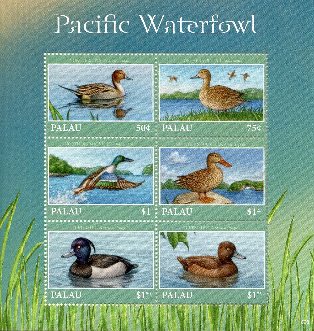 Palau 2018 MNH Pacific Waterfowl Pintail Shoveler 6v M/S II Ducks Birds Stamps