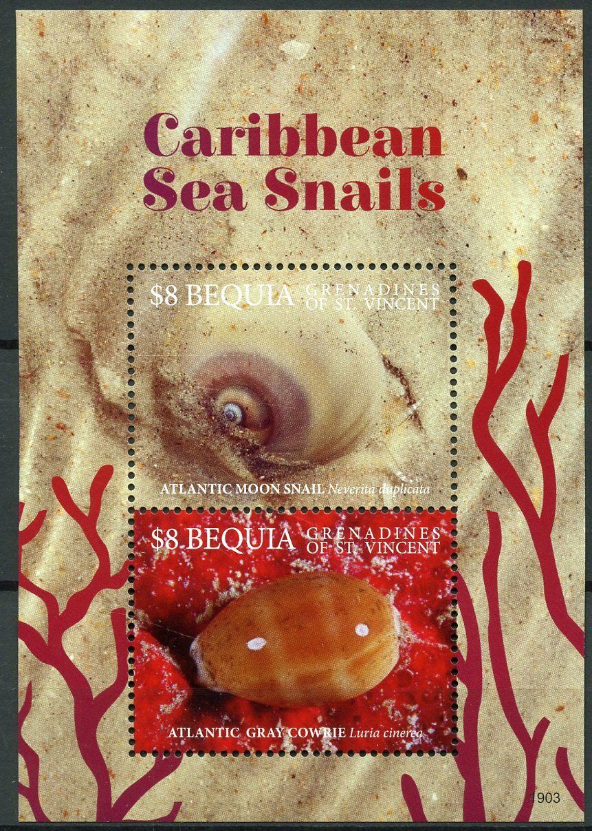 Bequia Grenadines St Vincent 2019 MNH Caribbean Sea Snails 2v S/S Marine Stamps