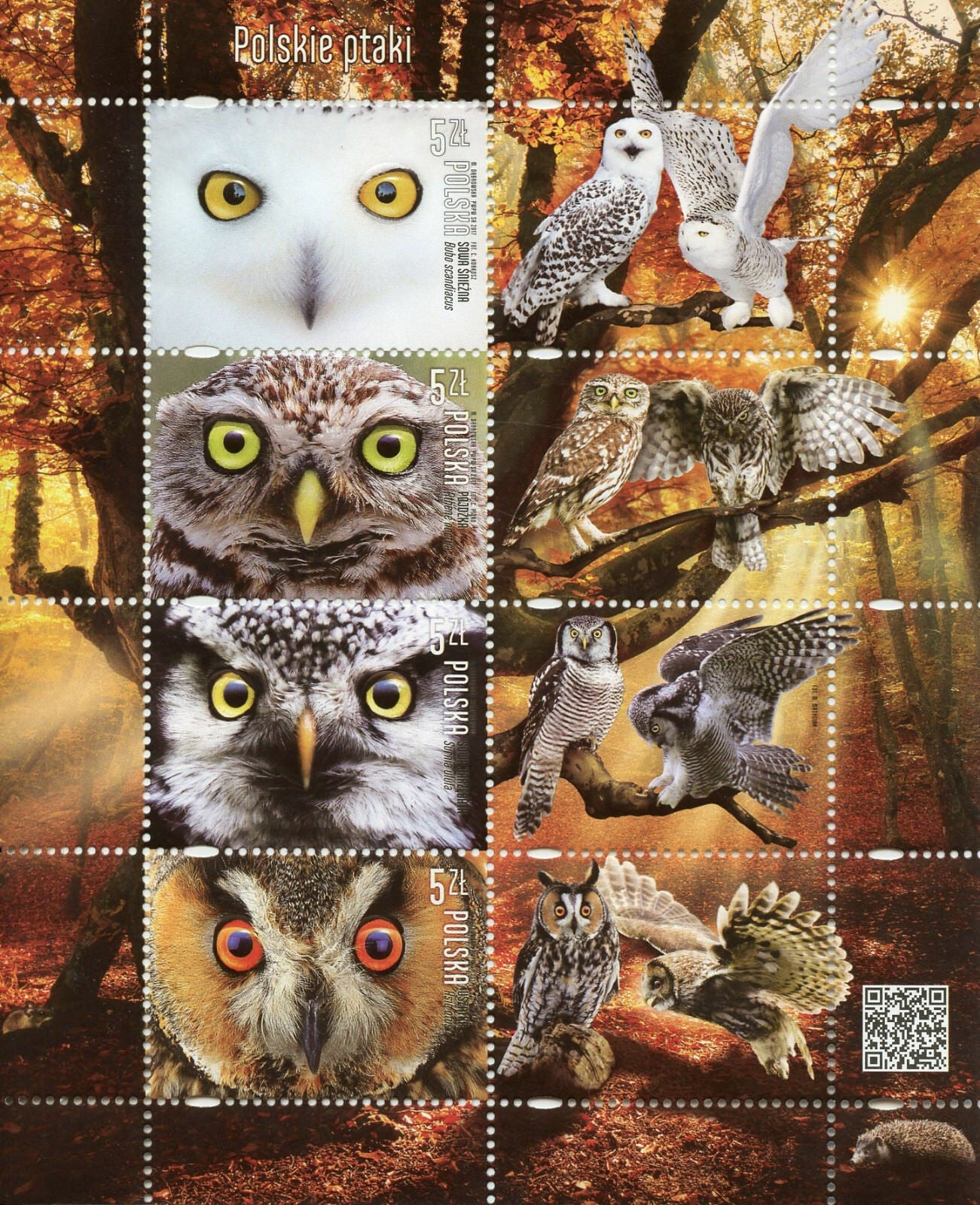 Poland 2017 MNH Owls Snowy Little Owl 4v + Labels M/S Birds Stamps