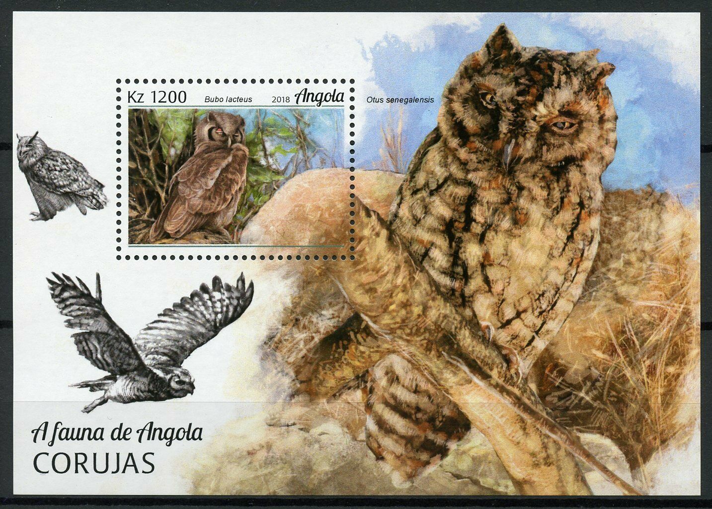 Angola Birds on Stamps 2018 MNH Owls Owl Verreaux Eagle-Owl 1v M/S