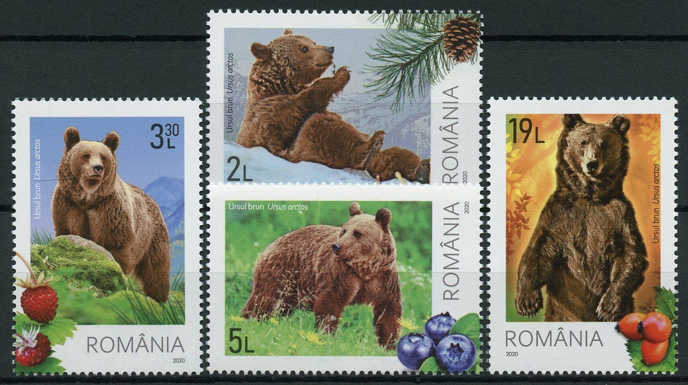 Romania Wild Animals Stamps 2020 MNH Bears Brown Bear Fauna 4v Set