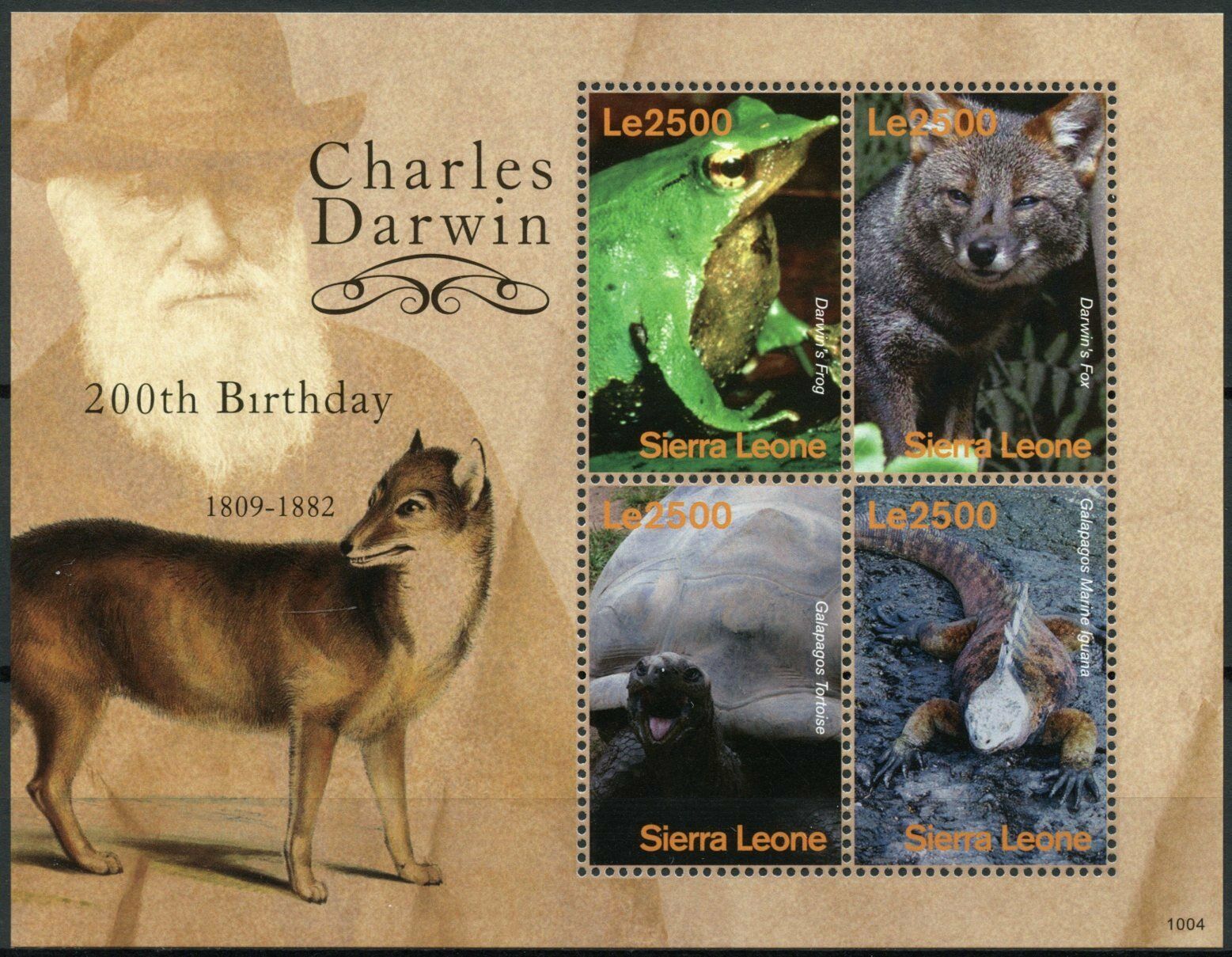 Sierra Leone Animals Stamps 2010 MNH Charles Darwin Frogs Turtles Lizards 4v M/S
