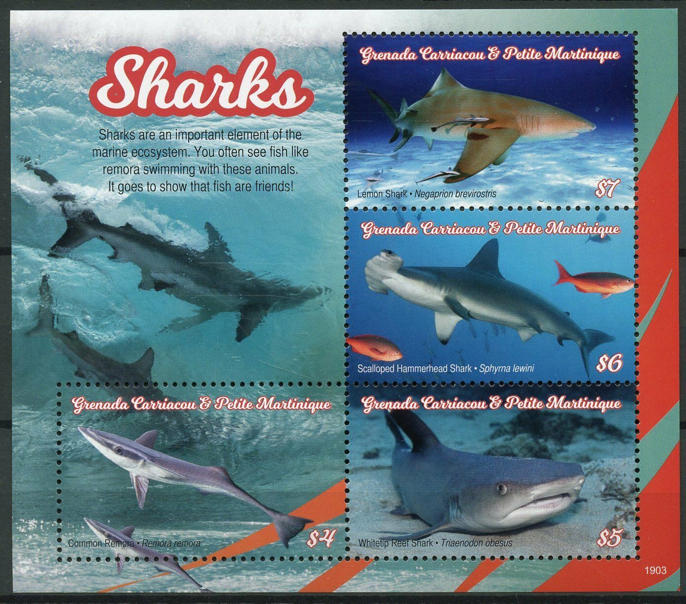 Grenadines Grenada 2019 MNH Marine Animals Stamps Sharks Remora Shark 4v M/S