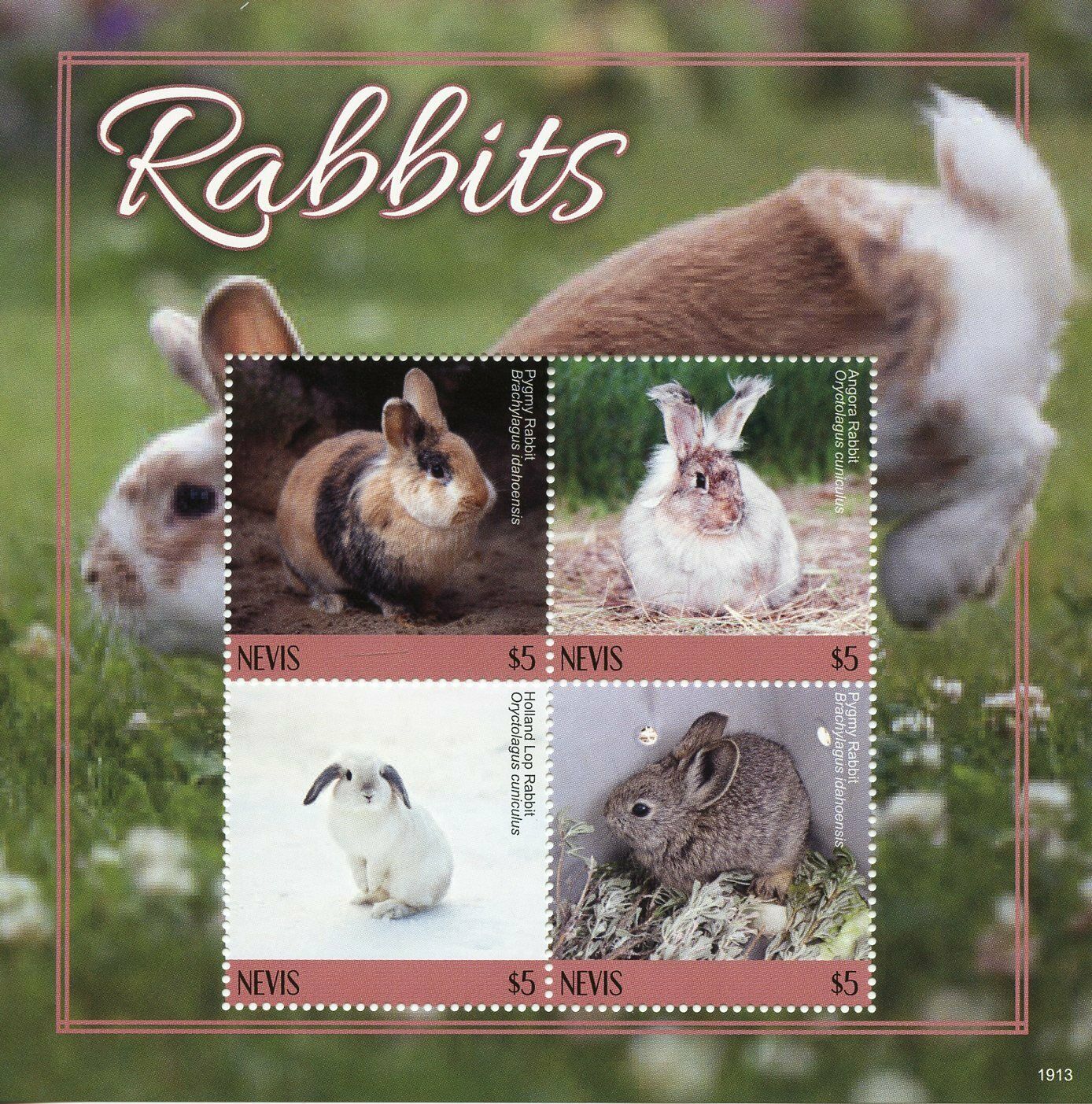 Nevis Rabbits Stamps 2019 MNH Pygmy Angora Holland Lop Rabbit Animals 4v M/S