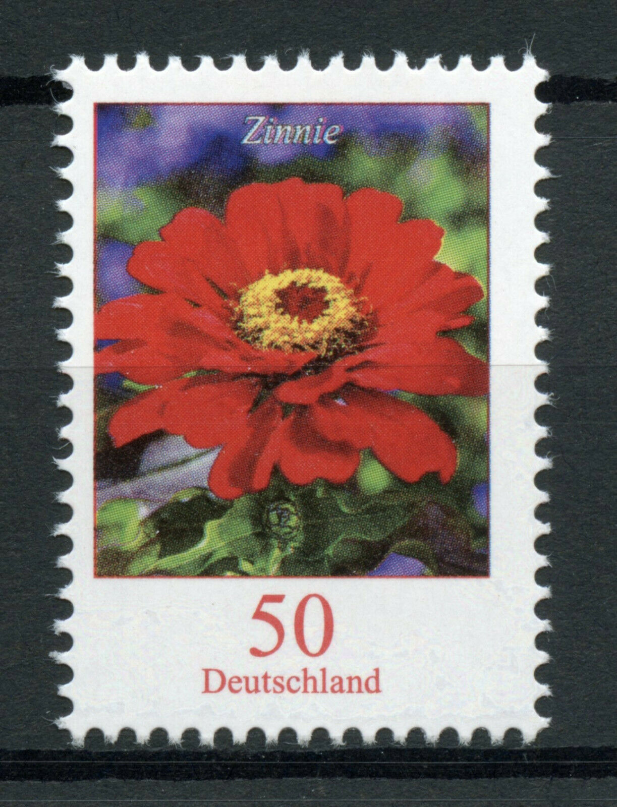 Germany Flowers Stamps 2020 MNH Definitives Zinnia Plants Nature 1v Set