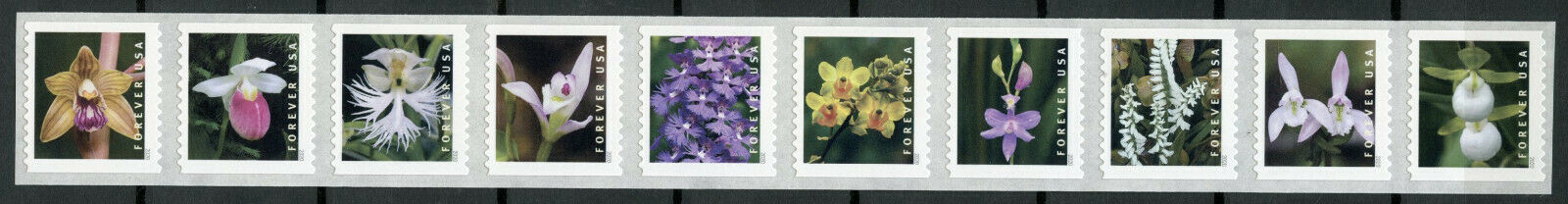 USA Flowers Stamps 2020 MNH Wild Orchids Orchid Flora Nature 10v S/A Coil Set