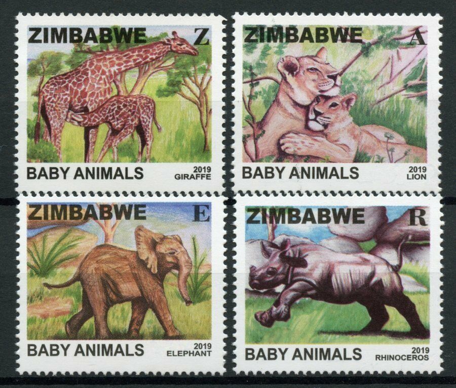 Zimbabwe Baby Animals Stamps 2019 MNH Lions Elephants Rhinos Giraffes 4v Set