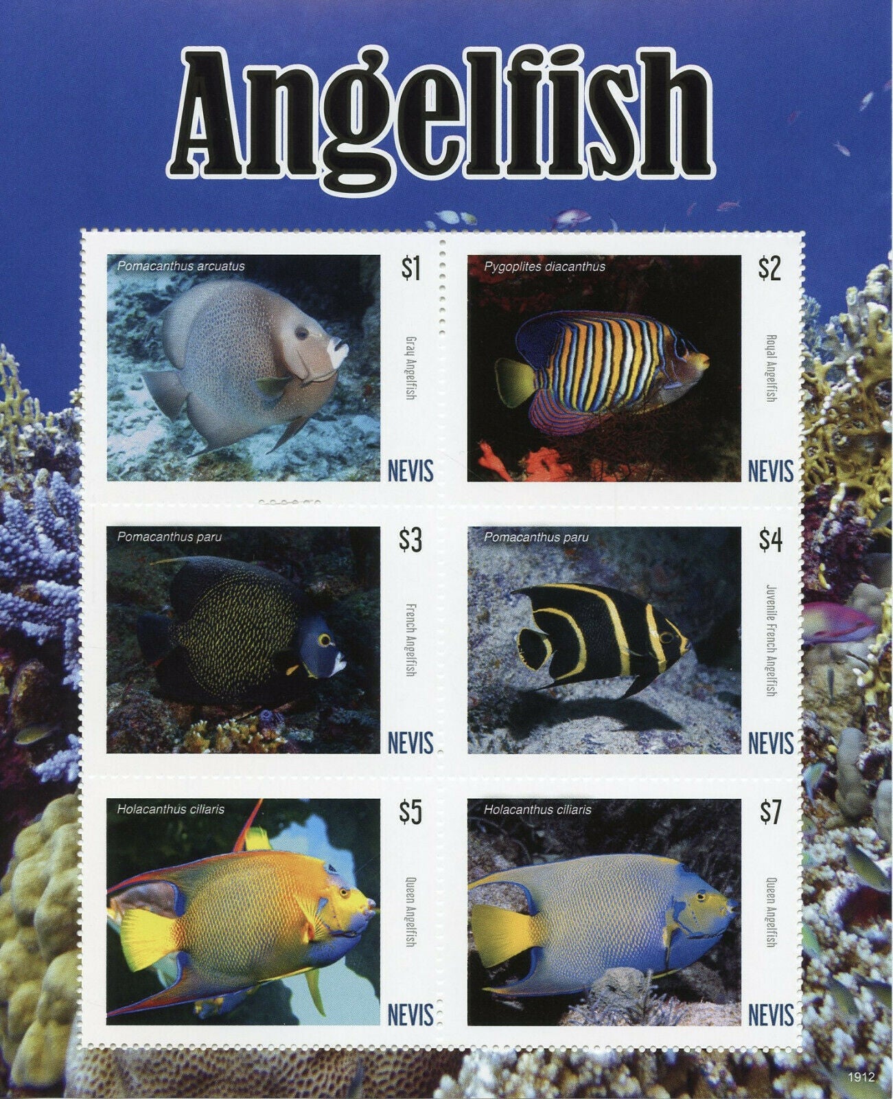 Nevis 2019 MNH Fish Stamps Angelfish Fishes Marine Fauna 6v M/S
