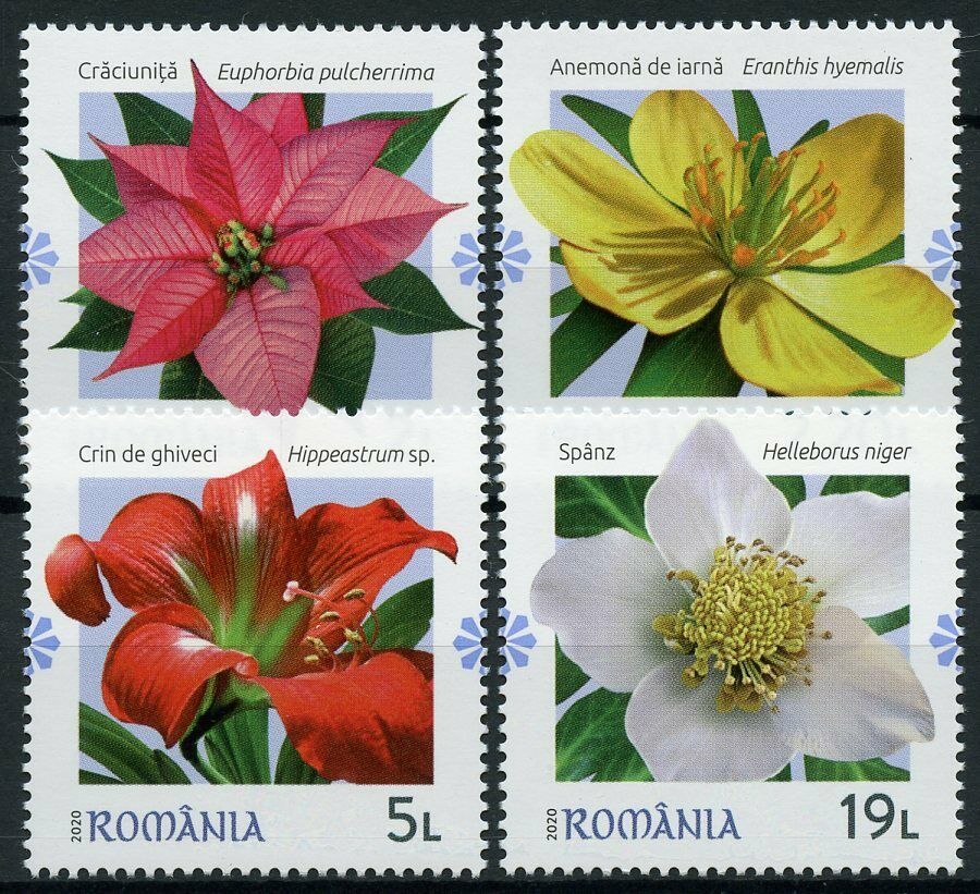 Romania Winter Flowers Stamps 2020 MNH Aconite Plants Nature Flora 4v Set