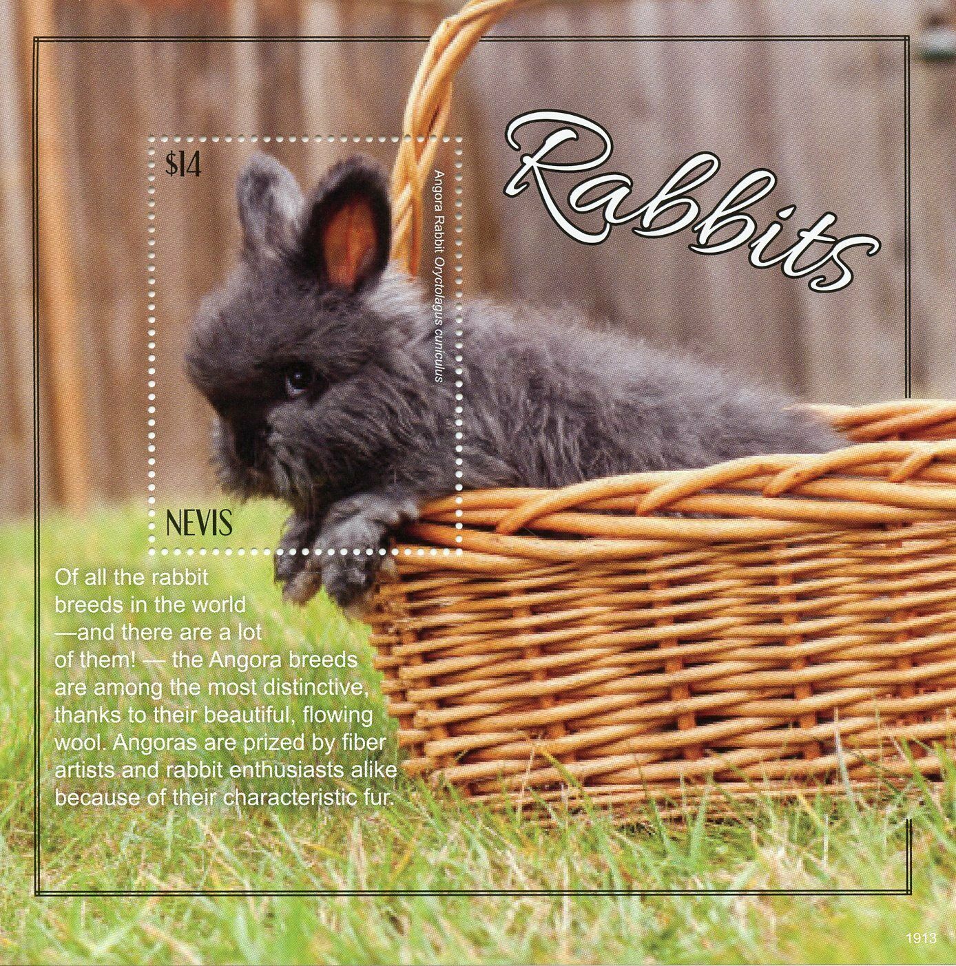 Nevis Rabbits Stamps 2019 MNH Angora Rabbit Domestic Animals Pets 1v S/S