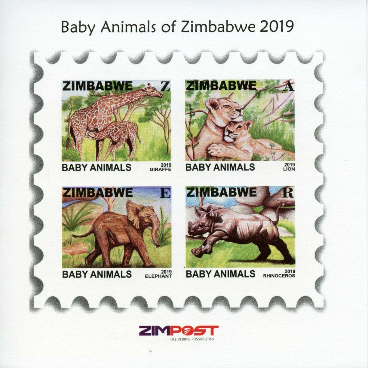 Zimbabwe Baby Animals Stamps 2019 MNH Lions Elephants Rhinos Giraffes 4v IMPF MS