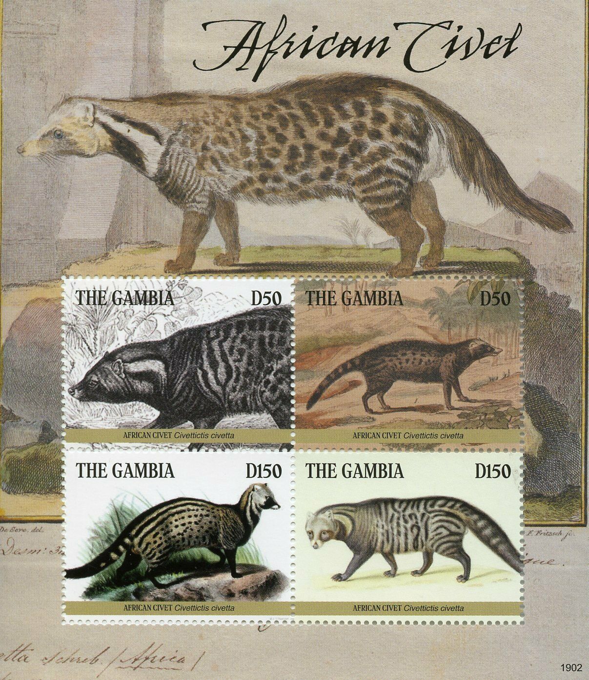 Gambia 2019 MNH Wild Animals Stamps African Civet Civets Fauna 4v M/S