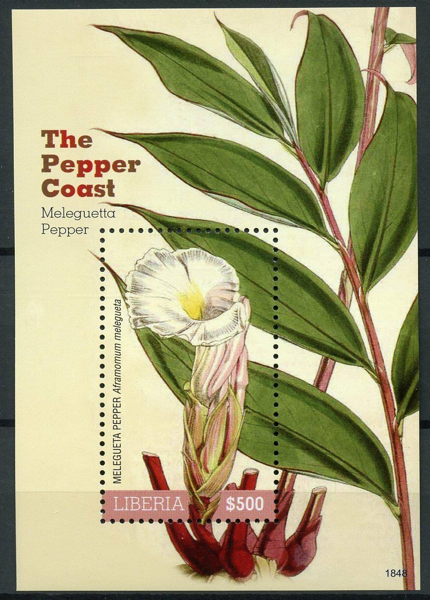 Liberia Flowers Stamps 2018 MNH Melegueta Pepper Coast Plants Nature 1v S/S