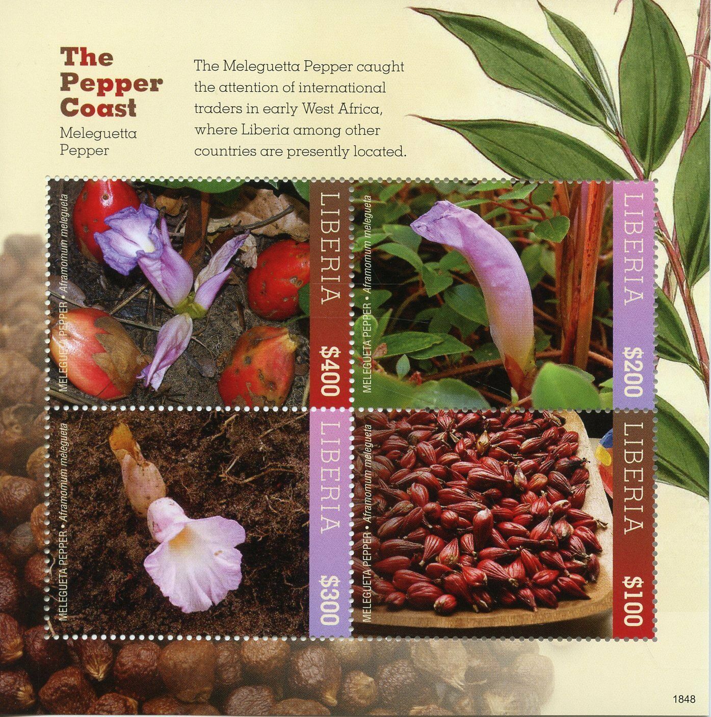 Liberia 2018 MNH Melegueta Pepper Coast 4v M/S Flowers Plants Nature Stamps