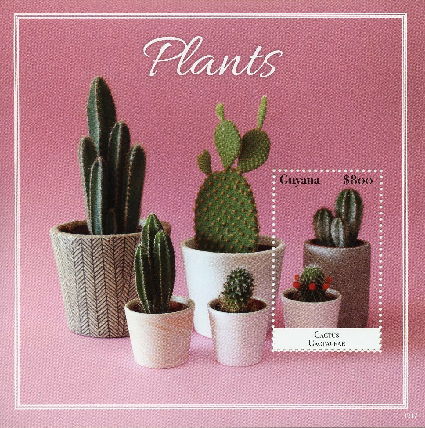Guyana Plants Stamps 2019 MNH Cactus Cactaceae Nature Flora 1v S/S