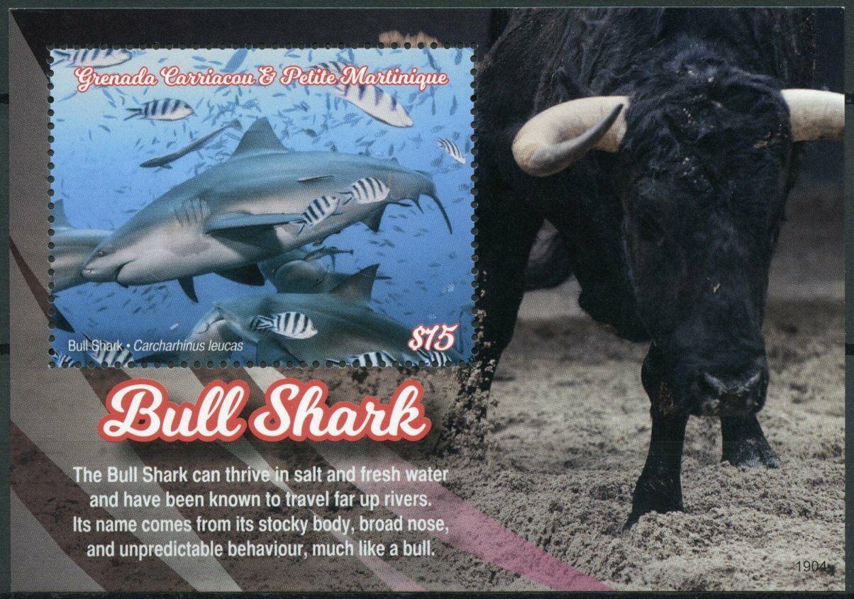 Grenadines of Grenada 2019 MNH Marine Animals Stamps Sharks Bull Shark 1v S/S II