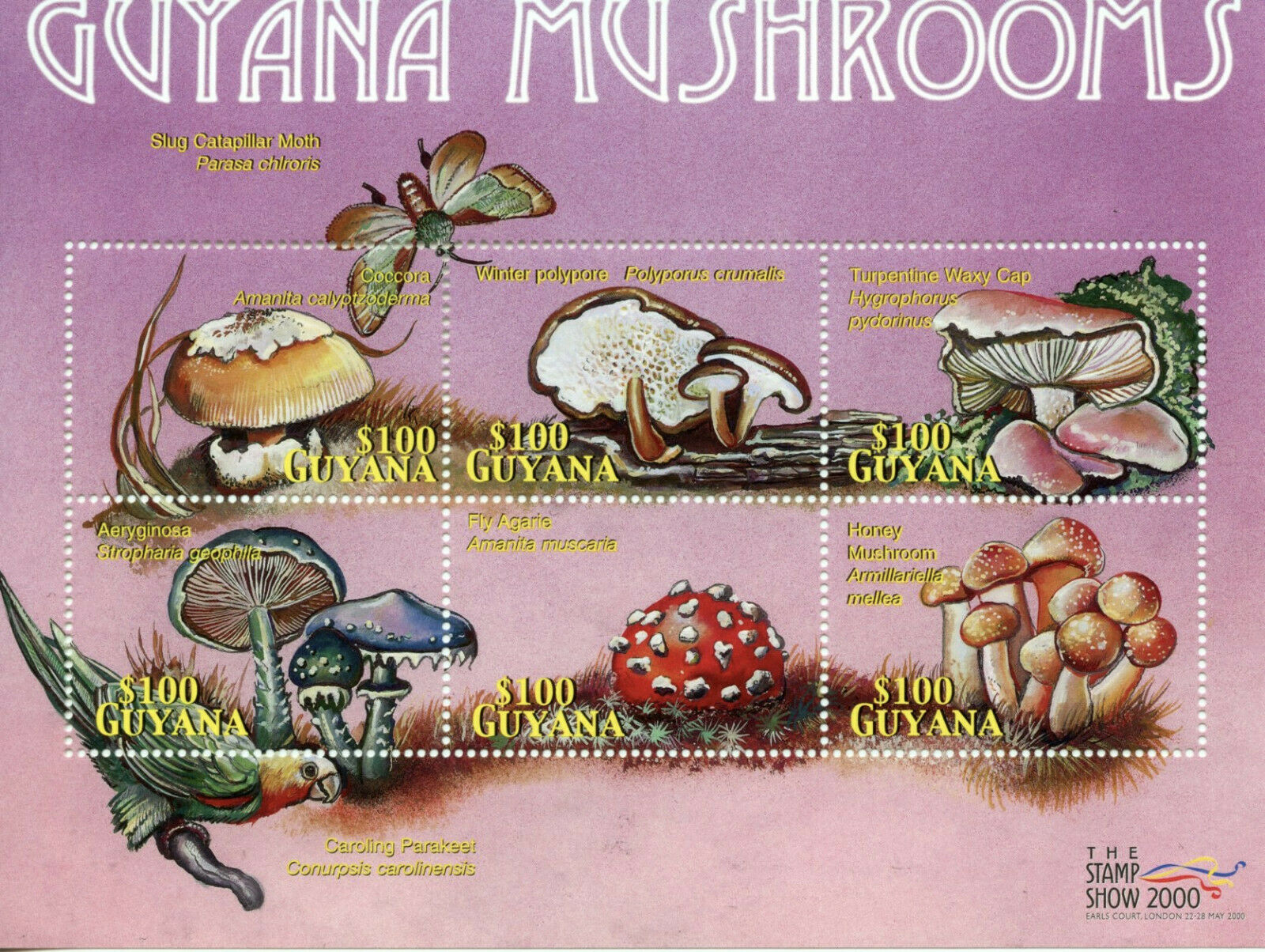 Guyana Mushrooms Stamps 2000 MNH Fly Agaric Fungi Moths Parrots Birds 6v M/S I