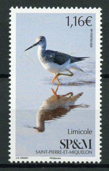 Saint-Pierre & Miquelon SP&M Birds on Stamps 2020 MNH Limicole Shorebirds 1v Set