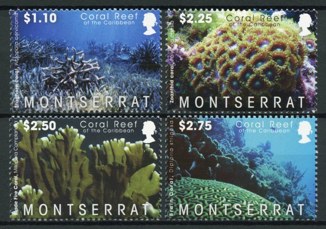 Montserrat Corals Stamps 2009 MNH Coral Reef of Caribbean Marine 4v Set
