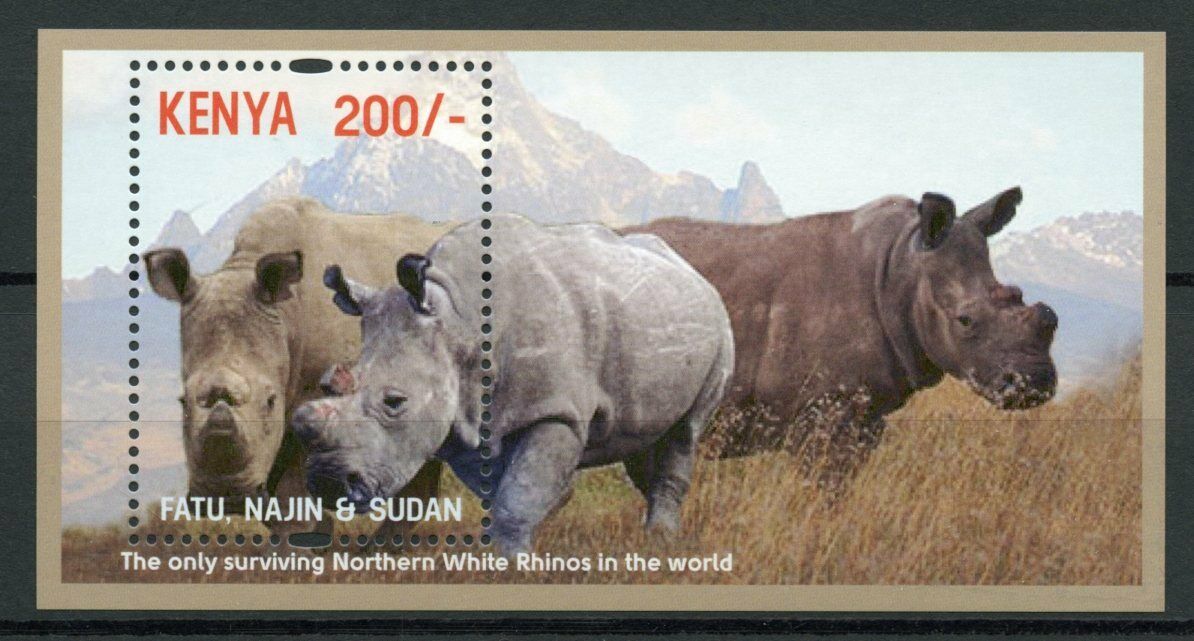Kenya Wild Animals Stamps 2018 MNH Northern White Rhinoceros Rhinos Rhino 1v M/S