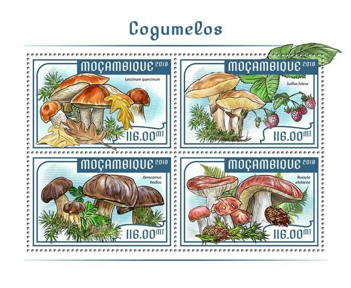 Mozambique Mushrooms Stamps 2018 MNH Fungi Leccinum Nature 4v M/S