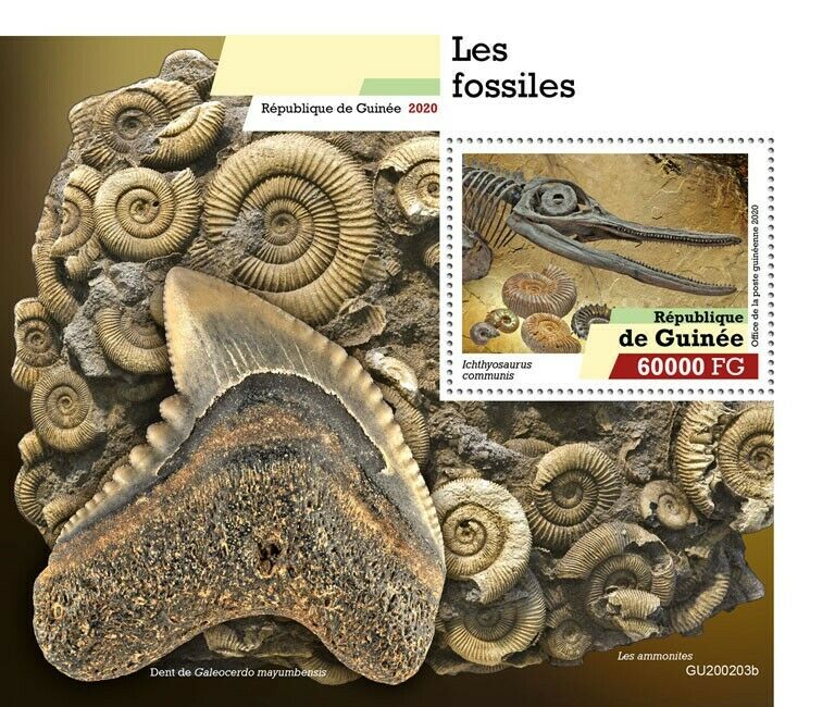 Guinea Fossils Stamps 2020 MNH Dinosaurs Prehistoric Animals Ichtyosaurus 1v S/S