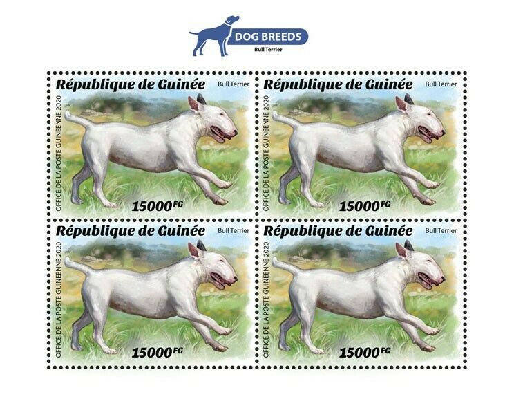 Guinea Dogs Stamps 2020 MNH Bull Terrier Dog Breeds Domestic Animals 4v M/S