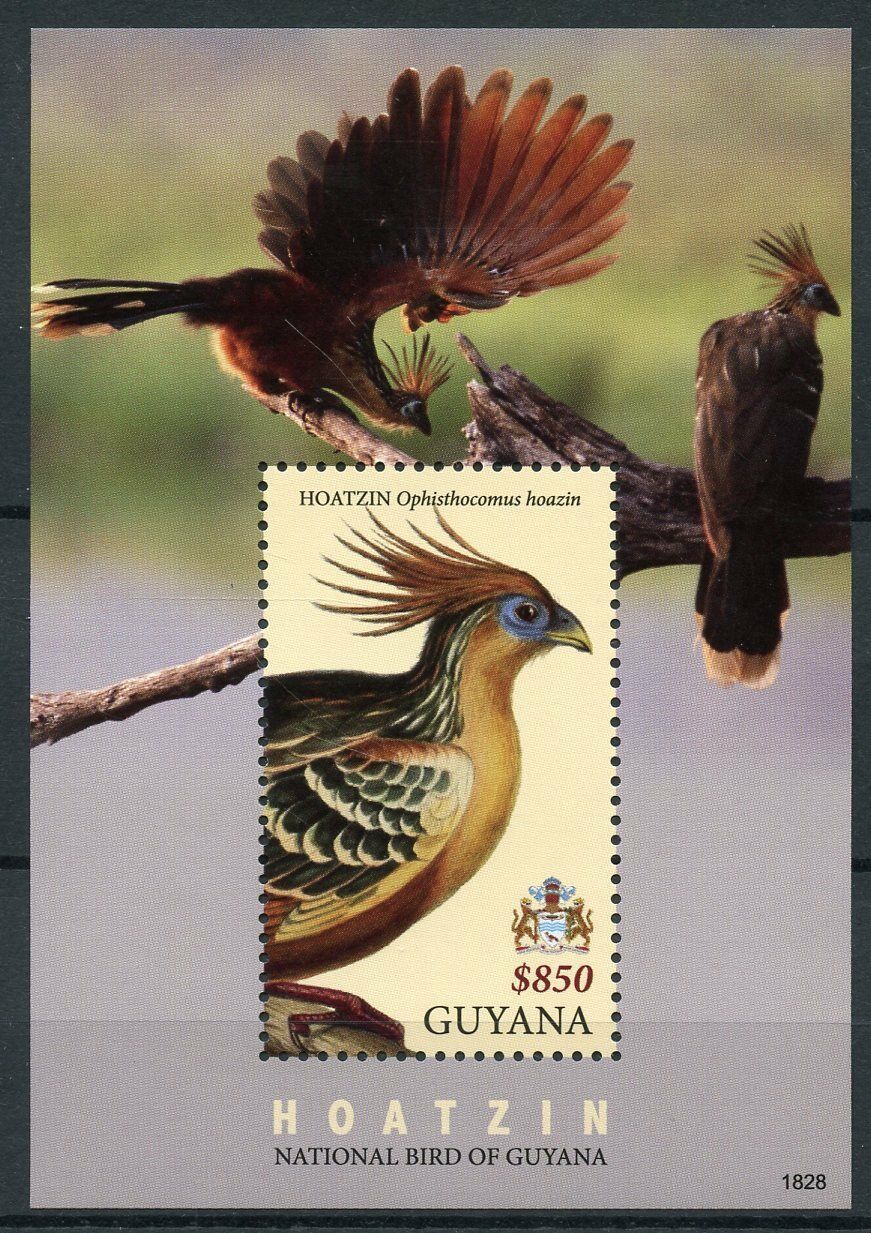 Guyana 2018 MNH Birds on Stamps Hoatzin National Bird Coat of Arms 1v S/S