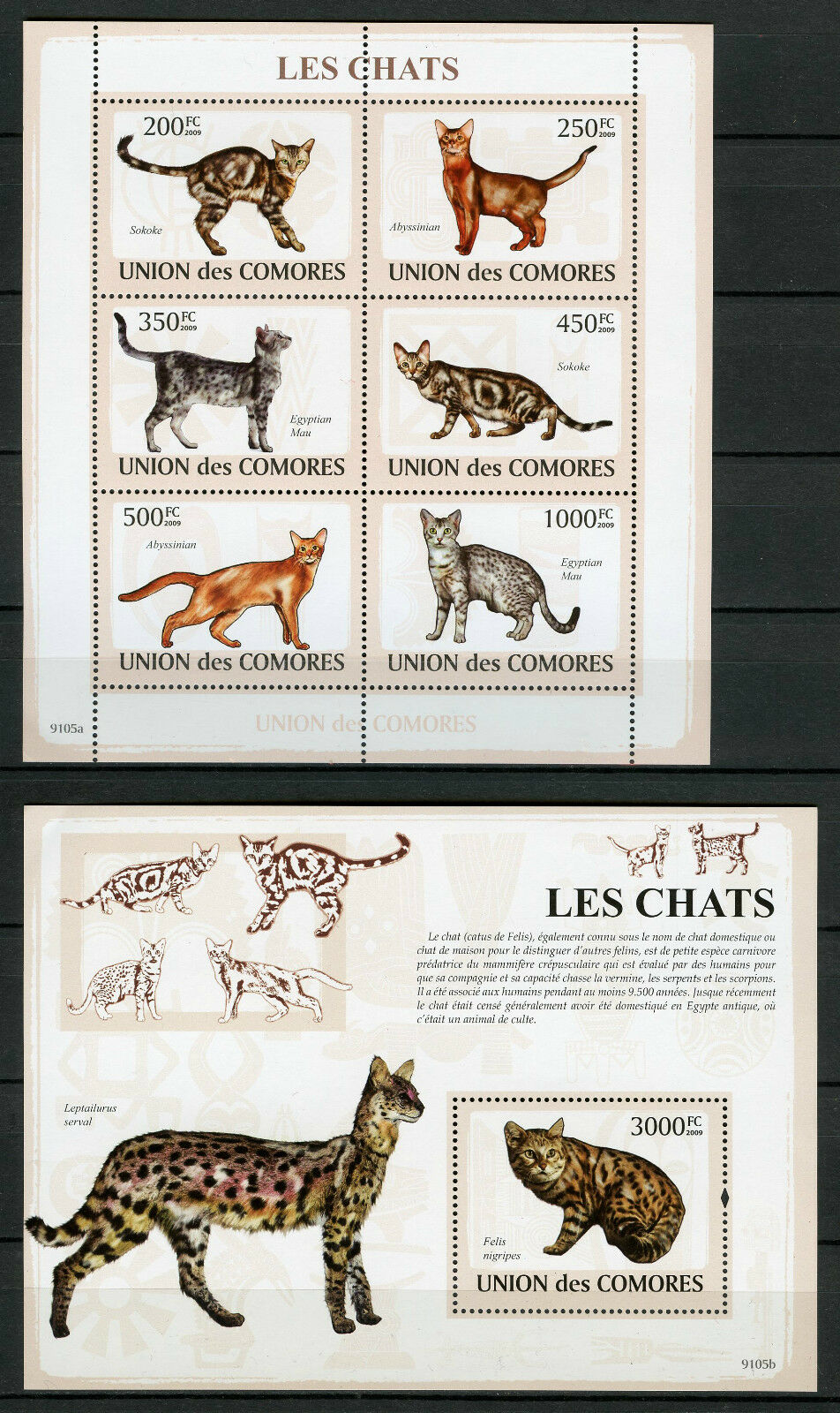 Comoros Comores 2009 MNH Cats Abyssinian Sokoke 6v M/S 1v S/S Chats Stamps