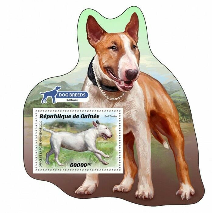 Guinea Dogs Stamps 2020 MNH Bull Terrier Dog Breeds Domestic Animals 1v S/S