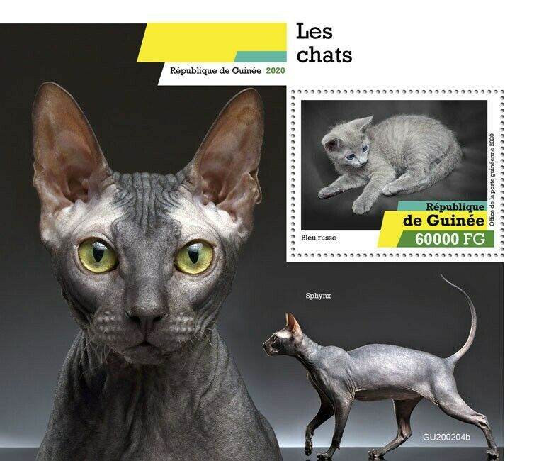 Guinea 2020 MNH Cats Stamps Russian Blue Sphynx Cat Domestic Animals 1v S/S