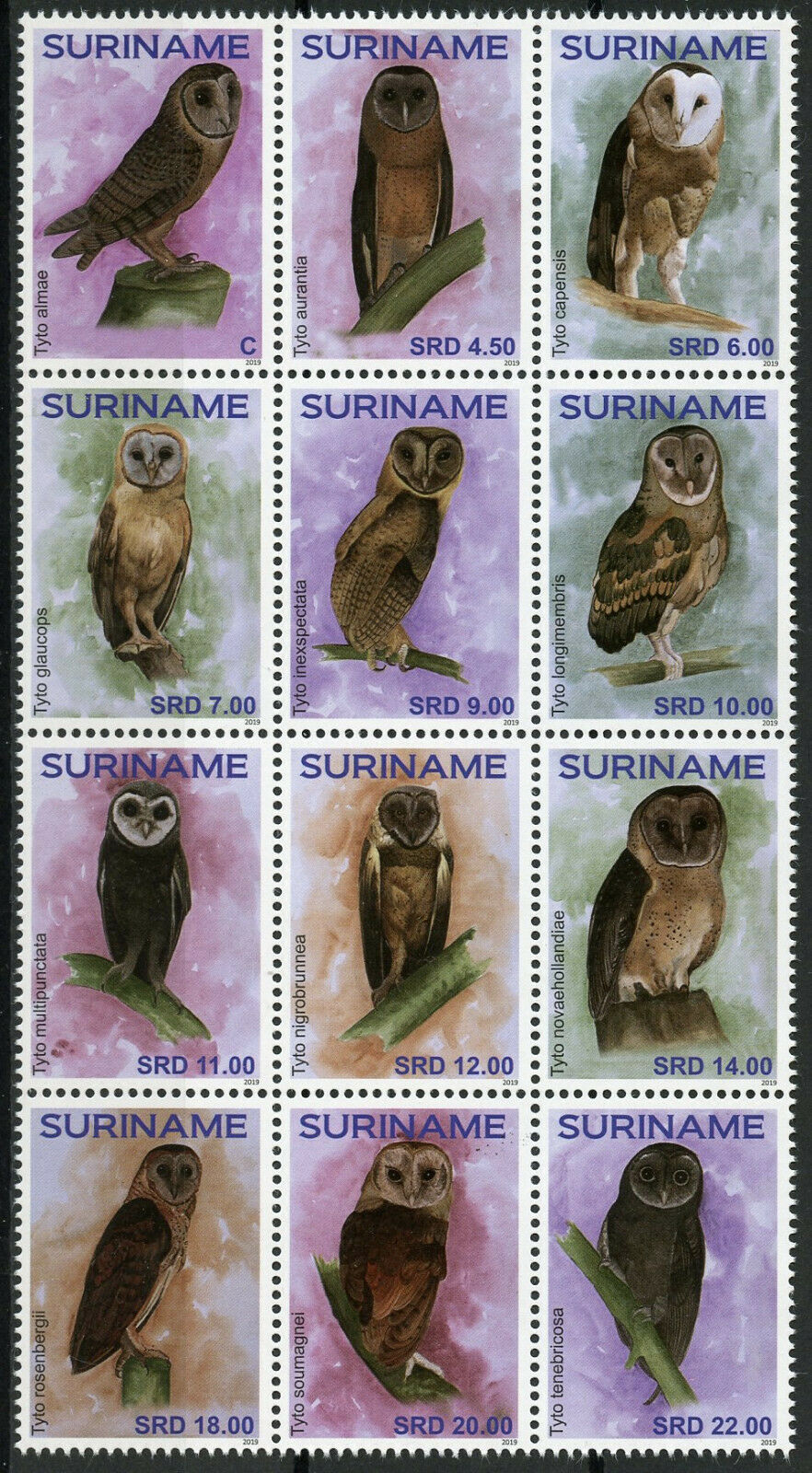 Suriname 2019 MNH Owls Masked Owl 12v Block Birds Stamps