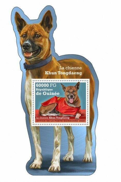 Guinea Dogs Stamps 2020 MNH Khun Tongdaeng Dog Breeds Domestic Animals 1v S/S
