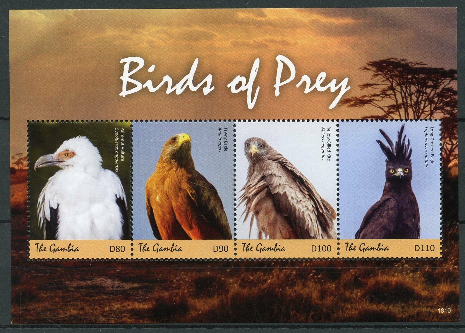 Gambia 2018 MNH Birds of Prey on Stamps Vultures Eagles Kites 4v M/S II