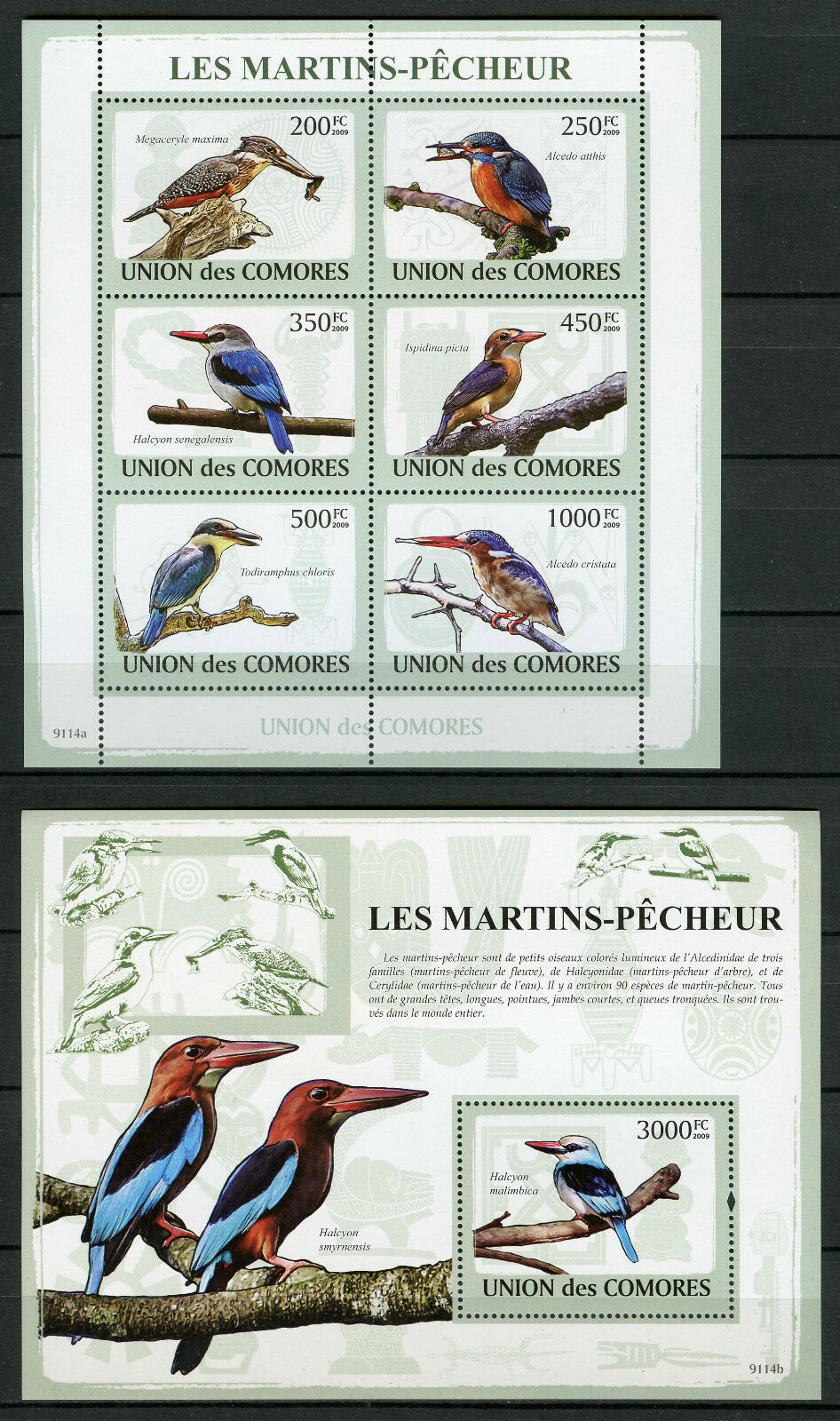 Comoros Comores 2009 MNH Kingfishers 6v M/S 1v S/S Martins-Pecheur Birds Stamps
