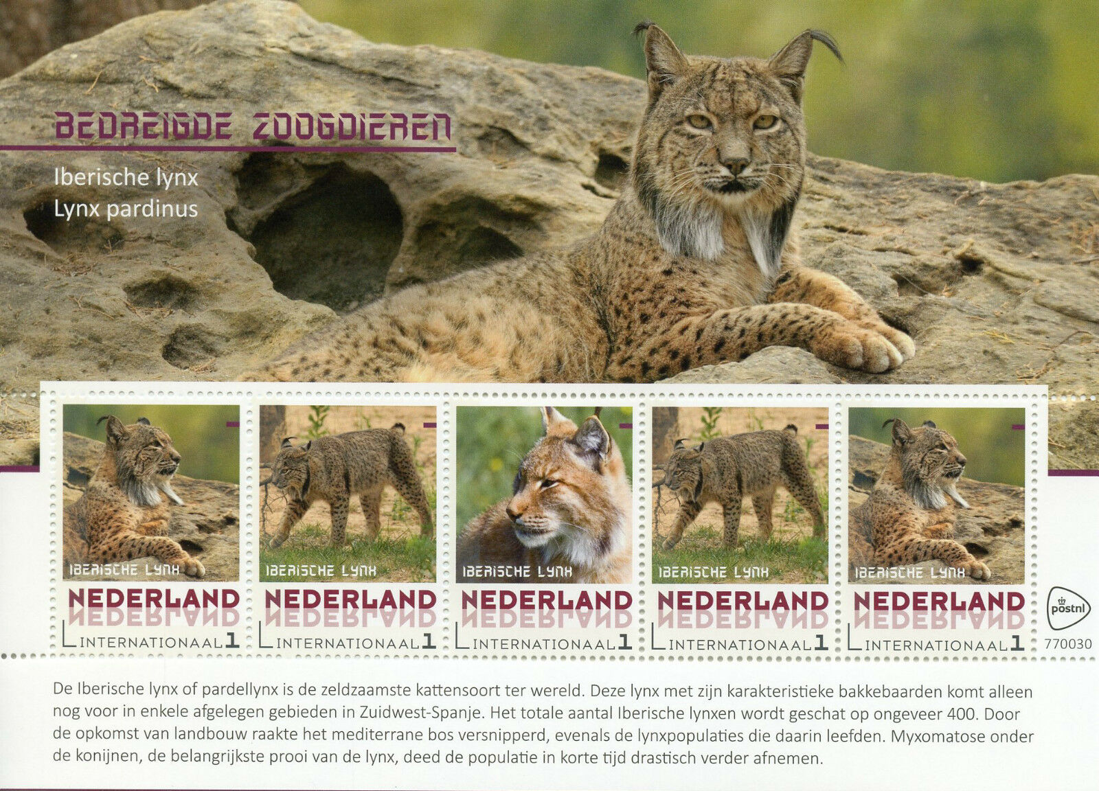 Netherlands 2017 MNH Endangered Mammals Iberian Lynx 5v M/S Wild Animals Stamps