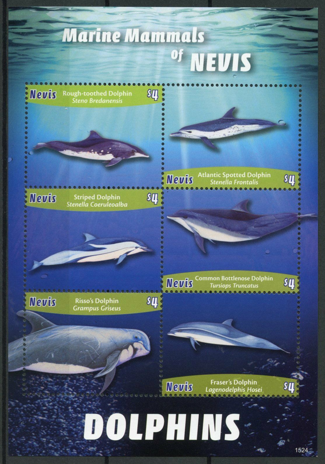 Nevis Dolphins Stamps 2015 MNH Marine Mammals Bottlenose Risso's Dolphin 6v M/S